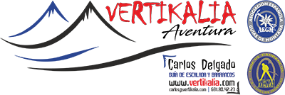 logo de Carlos Delgado